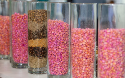 O Papel da Biotecnologia na Revolução dos Ingredientes Vegetais