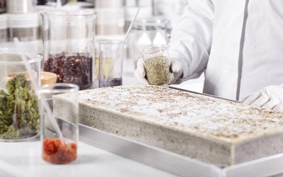 Estratégias para Impulsionar o Crescimento no Mercado Plant-Based em 2024